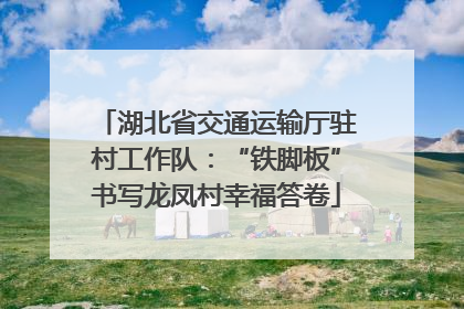 湖北省交通运输厅驻村工作队：“铁脚板”书写龙凤村幸福答卷