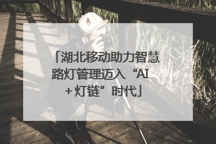 湖北移动助力智慧路灯管理迈入“AI＋灯链”时代