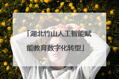 湖北竹山人工智能赋能教育数字化转型