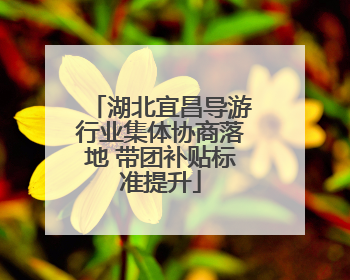 湖北宜昌导游行业集体协商落地 带团补贴标准提升