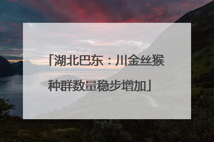 湖北巴东：川金丝猴种群数量稳步增加