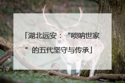 湖北远安：“唢呐世家”的五代坚守与传承