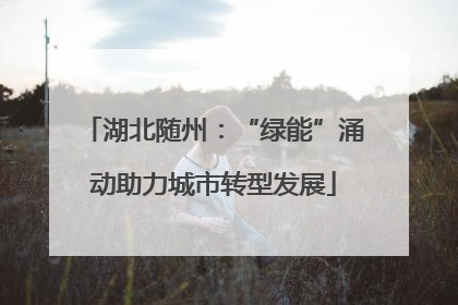 湖北随州：“绿能”涌动助力城市转型发展