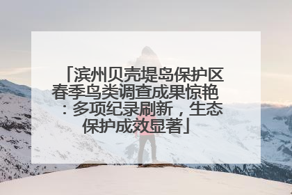 滨州贝壳堤岛保护区春季鸟类调查成果惊艳：多项纪录刷新，生态保护成效显著