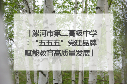 漯河市第二高级中学：“五五五”党建品牌赋能教育高质量发展