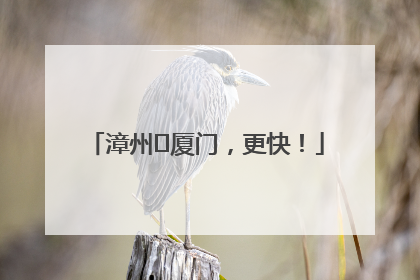 漳州⇋厦门，更快！