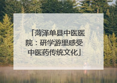 菏泽单县中医医院：研学游里感受中医药传统文化
