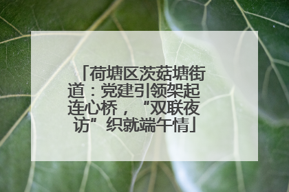 荷塘区茨菇塘街道：党建引领架起连心桥，“双联夜访”织就端午情