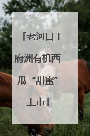 老河口王府洲有机西瓜“甜蜜”上市