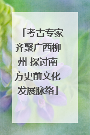 考古专家齐聚广西柳州 探讨南方史前文化发展脉络