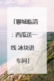 聊城临清：西瓜送一线 冰块进车间