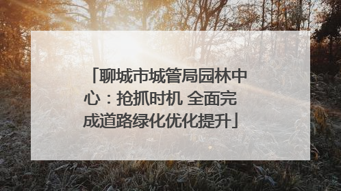 聊城市城管局园林中心：抢抓时机 全面完成道路绿化优化提升