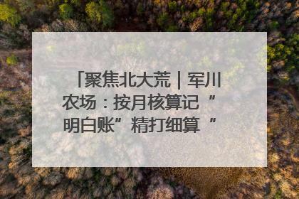 聚焦北大荒｜军川农场：按月核算记“明白账”精打细算“过紧日子”