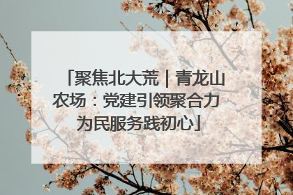 聚焦北大荒｜青龙山农场：党建引领聚合力 为民服务践初心