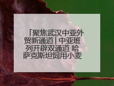 聚焦武汉中亚外贸新通道│中亚班列开辟双通道 哈萨克斯坦饲用小麦将抵鄂