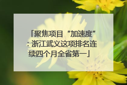聚焦项目“加速度”：浙江武义这项排名连续四个月全省第一