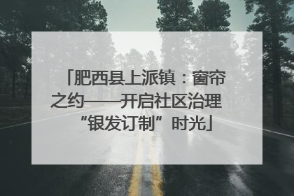 肥西县上派镇：窗帘之约——开启社区治理“银发订制”时光