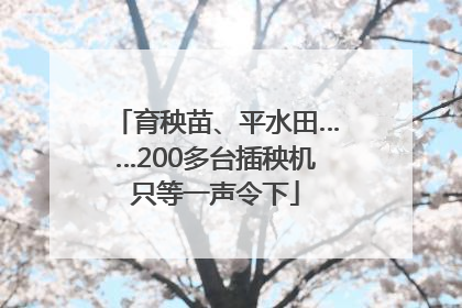 育秧苗、平水田……200多台插秧机只等一声令下