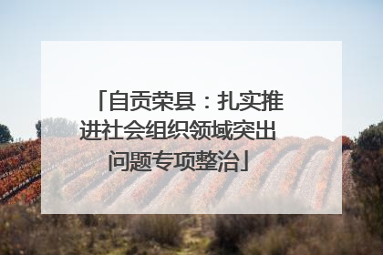 自贡荣县：扎实推进社会组织领域突出问题专项整治