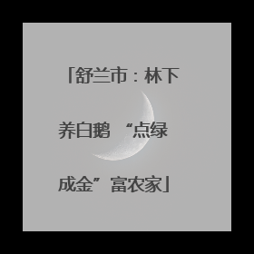 舒兰市：林下养白鹅 “点绿成金”富农家