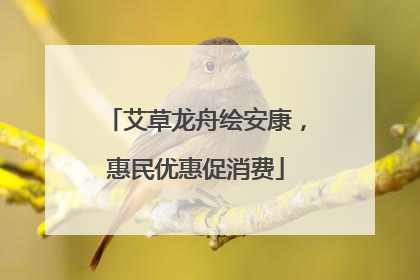 艾草龙舟绘安康，惠民优惠促消费