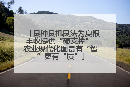 良种良机良法为夏粮丰收提供“硬支撑” 农业现代化图景有“智”更有“质”