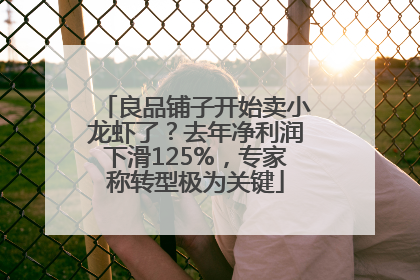 良品铺子开始卖小龙虾了？去年净利润下滑125%，专家称转型极为关键