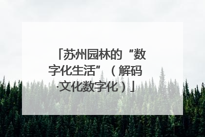苏州园林的“数字化生活”（解码·文化数字化）