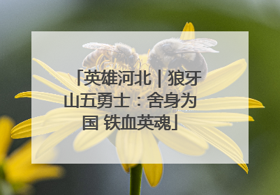 英雄河北｜狼牙山五勇士：舍身为国 铁血英魂