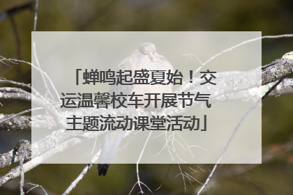 蝉鸣起盛夏始！交运温馨校车开展节气主题流动课堂活动