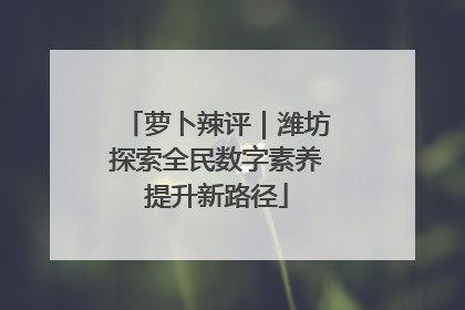 萝卜辣评｜潍坊探索全民数字素养提升新路径