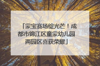 蒙宝赛场绽光芒！成都市锦江区童蒙幼儿园两园区喜获荣耀