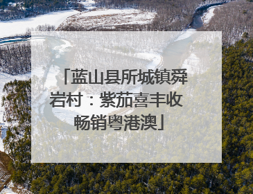 蓝山县所城镇舜岩村：紫茄喜丰收 畅销粤港澳