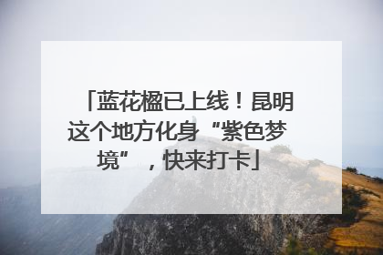 蓝花楹已上线！昆明这个地方化身“紫色梦境”，快来打卡