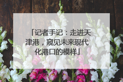 记者手记：走进天津港，窥见未来现代化港口的模样