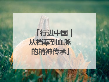 行进中国｜从档案到血脉的精神传承