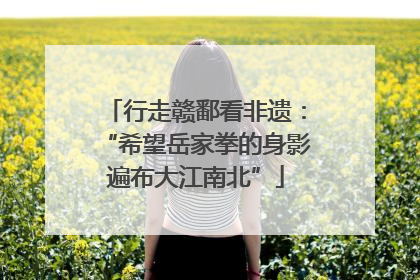 行走赣鄱看非遗：“希望岳家拳的身影遍布大江南北”