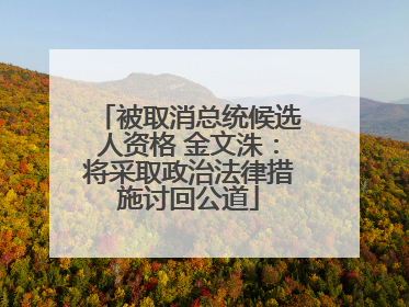被取消总统候选人资格 金文洙：将采取政治法律措施讨回公道