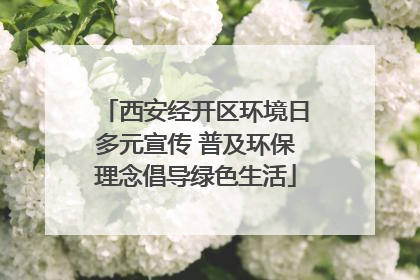 西安经开区环境日多元宣传 普及环保理念倡导绿色生活