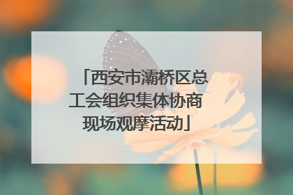 西安市灞桥区总工会组织集体协商现场观摩活动