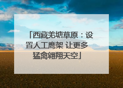 西藏羌塘草原：设置人工鹰架 让更多猛禽翱翔天空