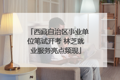 西藏自治区事业单位笔试开考 林芝就业服务亮点频现