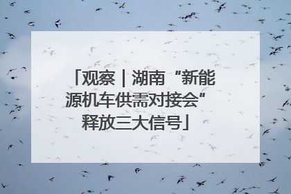 观察｜湖南“新能源机车供需对接会”释放三大信号