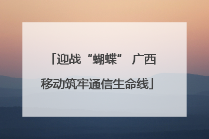 迎战“蝴蝶” 广西移动筑牢通信生命线