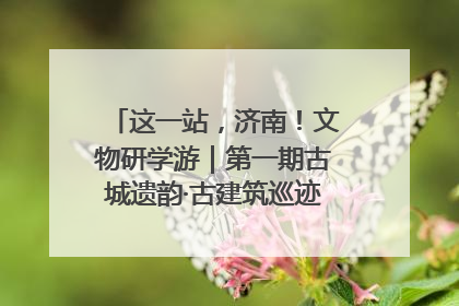 这一站，济南！文物研学游｜第一期古城遗韵·古建筑巡迹之旅圆满结束