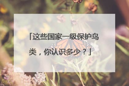 这些国家一级保护鸟类，你认识多少？