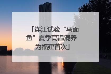 连江试验“马面鱼”夏季高温混养 为福建首次