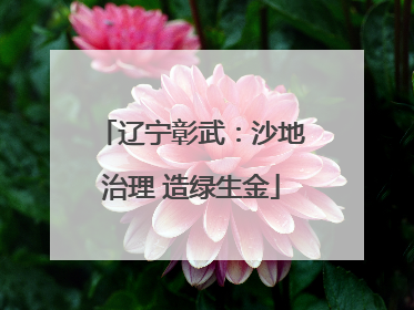 辽宁彰武：沙地治理 造绿生金
