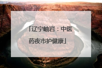 辽宁岫岩：中医药夜市护健康