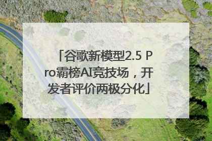 谷歌新模型2.5 Pro霸榜AI竞技场，开发者评价两极分化